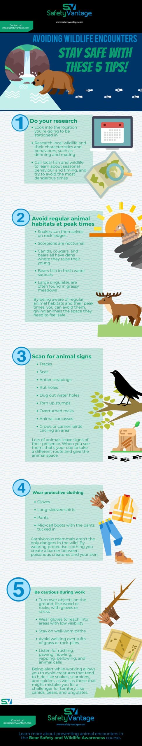 avoiding wildlife encounters