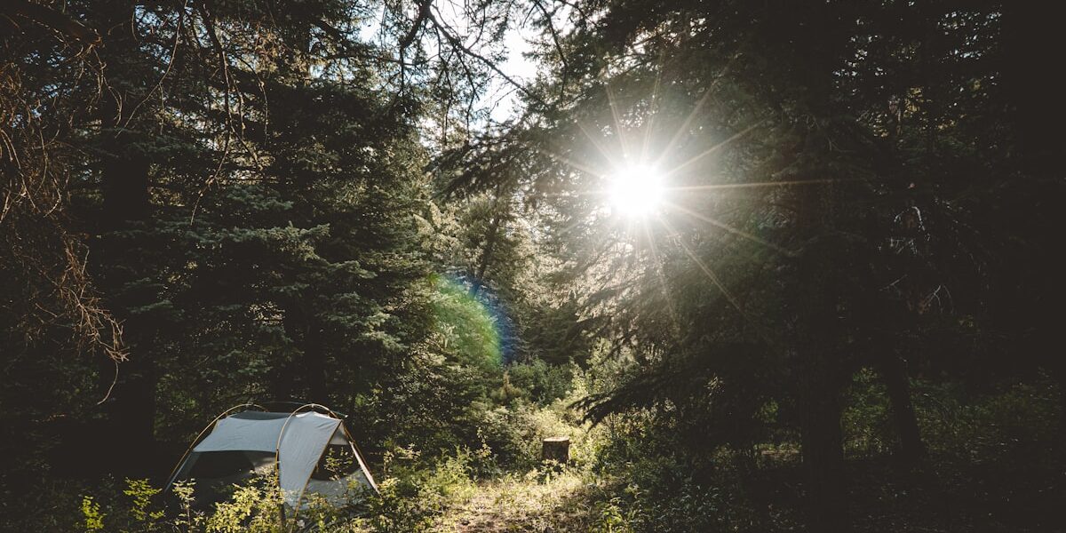 Trail Work Volunteers: Giving Back to the Trails You Love