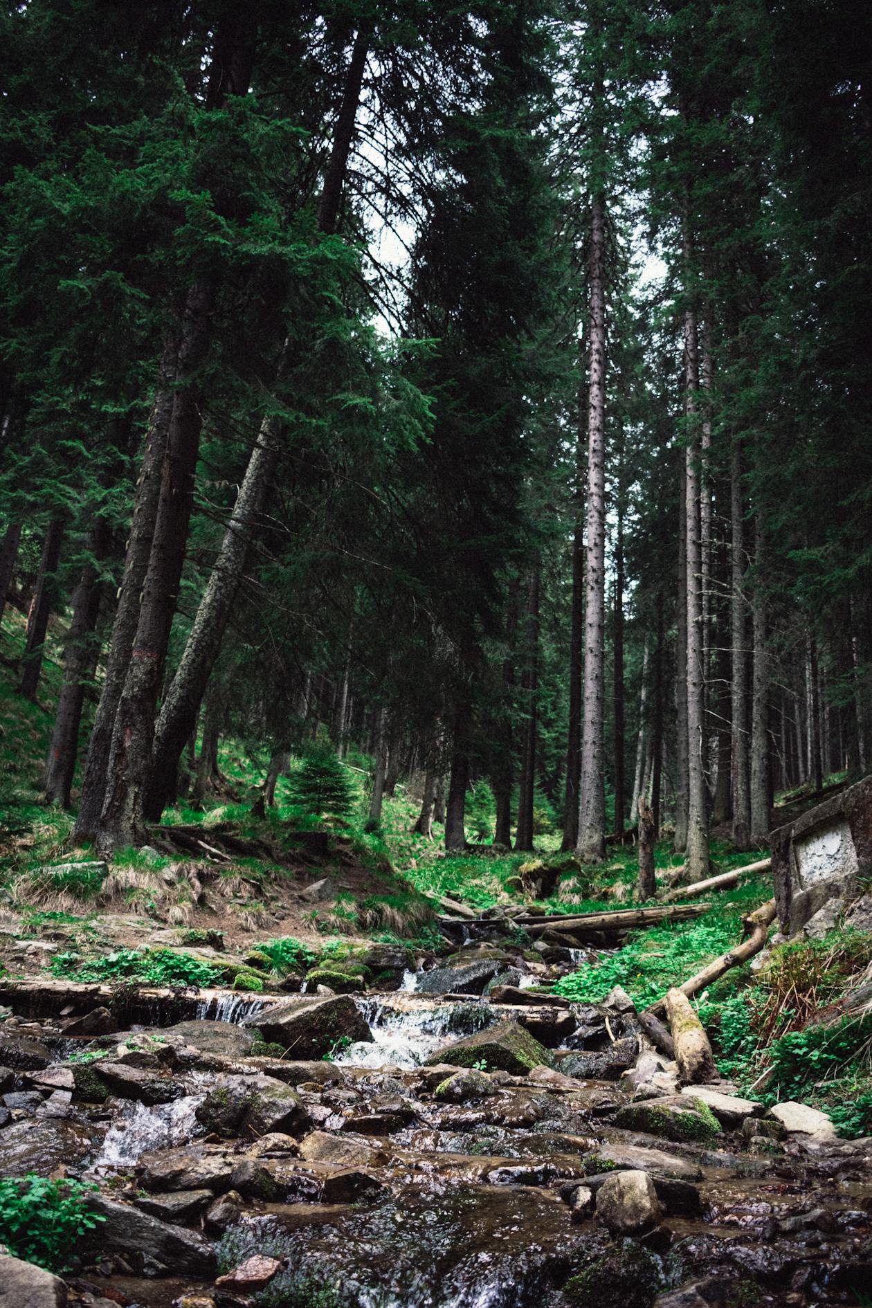 SUV adventure mountain road