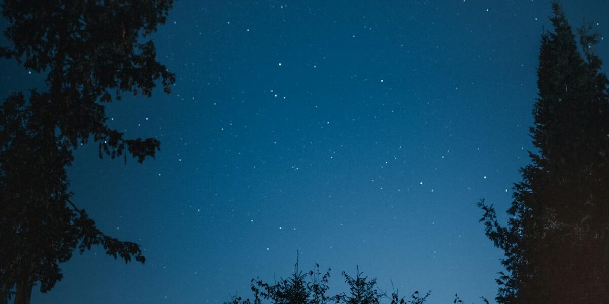 Pacific Northwest Overlanding: Best Trails in Washington and Oregon